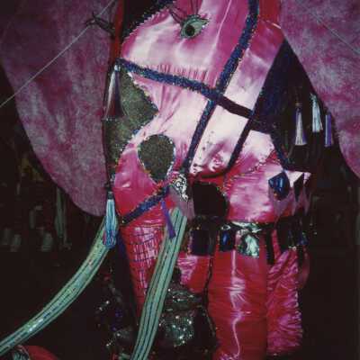 A float in the parade.