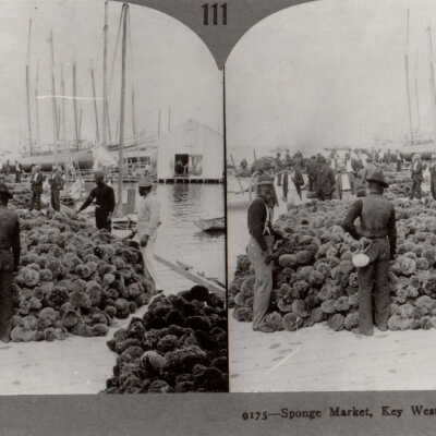 Sponge Market, Key West Harbor, Fla.