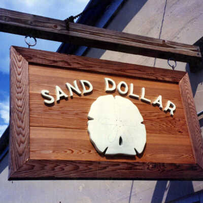 Sand Dollar Sign