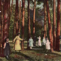 Family standing beneath trees