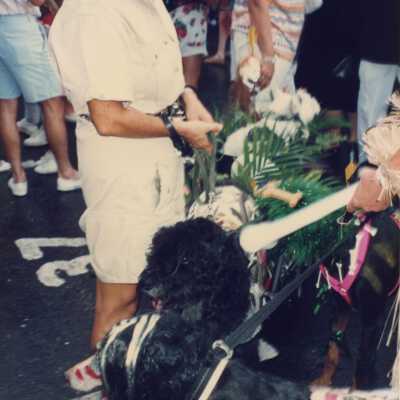 Unknown lady walking 2 dogs.
