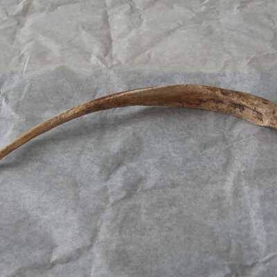 Worked Bone Tool: © Key West Art & Historical Society