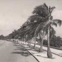          Houseboat Row; Copyright: © Key West Art & Historical Society; Origformat: Print-Photographic
   