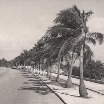 Houseboat Row: Copyright: © Key West Art & Historical Society; Origformat: Print-Photographic
