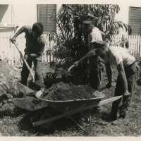 3 Unknown men cleaning a yard