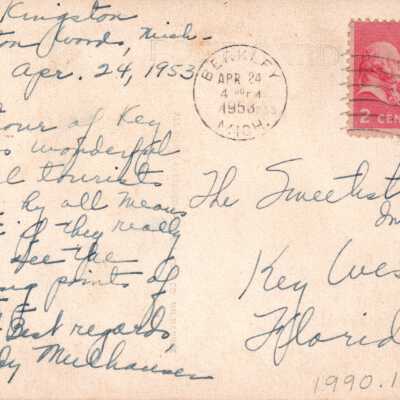 Sightseeing car with dog