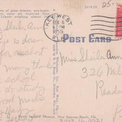 Dock at the Turtle Crawl, Key West, Fla.: © Key West Art & Historical Society