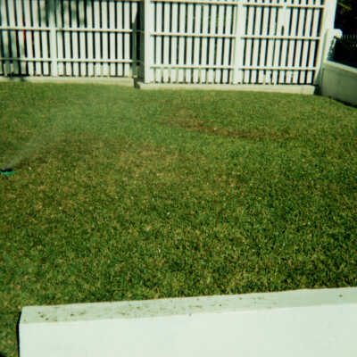 Key West Lighthouse grounds