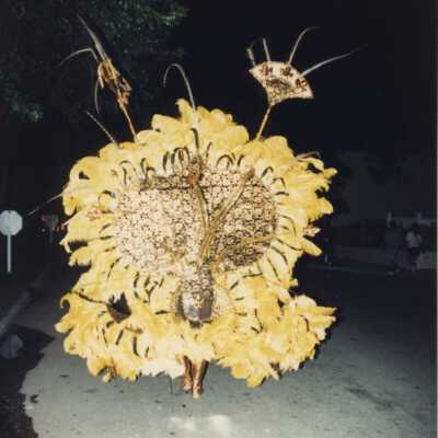 Unknown person dressed up.