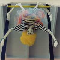 A hotel decorated for Fantasy Fest.