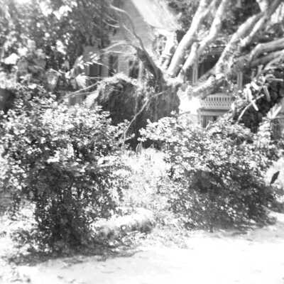 South Florida Hurricane Damage