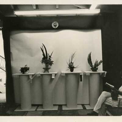 An unknown woman sitting next to plants