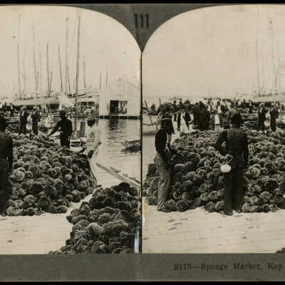 Sponge Market, Key West Harbor, Fla.