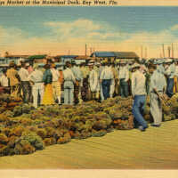 Sponge Market at the Municipal Dock