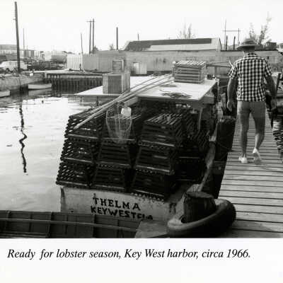 Ready for Lobster Season, Key West Harbor