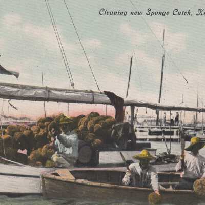 Cleaning New Sponge Catch, Key West