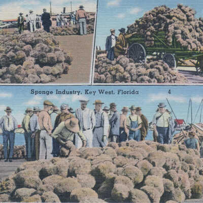 Sponge Industry, Key West, Florida