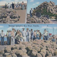 Sponge Industry, Key West, Florida