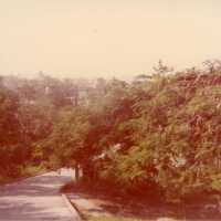 An outside view