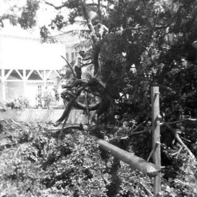 South Florida Hurricane Damage