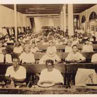 A group of people working in a tobacco factory in Cuba