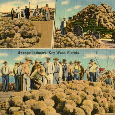 Sponge Industry, Key West, Florida