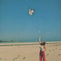Woman Feeding Seagulls