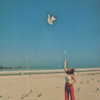 Woman Feeding Seagulls