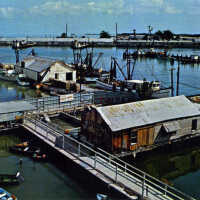 Turtle Kraals and Shrimp Fleet