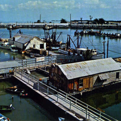 Turtle Kraals and Shrimp Fleet