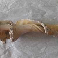 Shell Tool