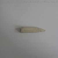 Bone Fragment