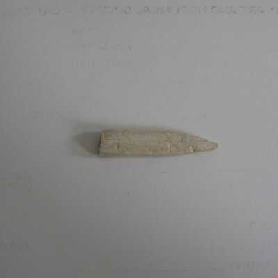 Bone Fragment