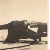 Cannon