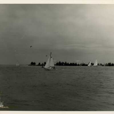 Sailboats out in the ocean