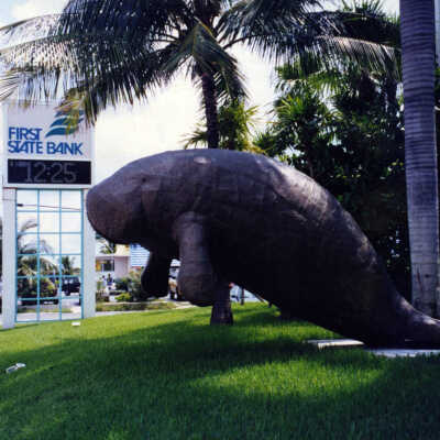 First State Bank Manatee Sculpture