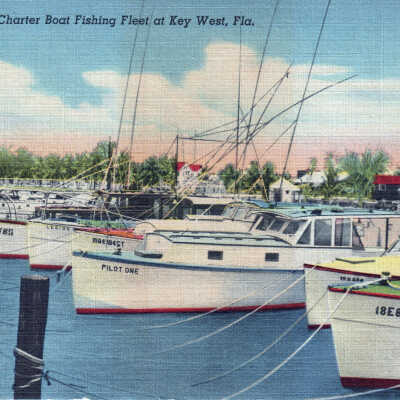 Charter Boat Fishing Fleet