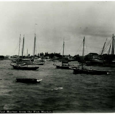 Key West Harbor from the Fish Market