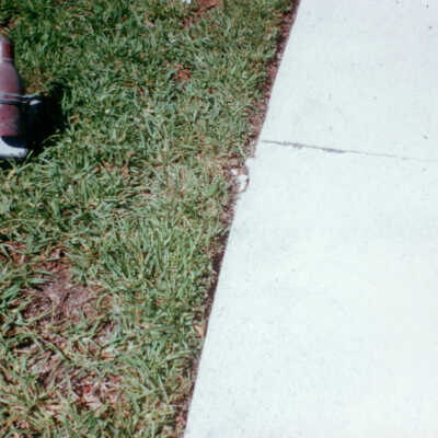 Key West Lighthouse grounds