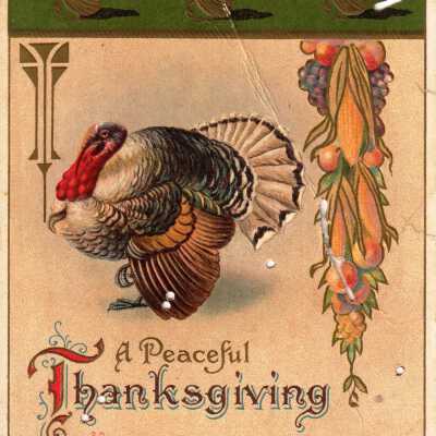 A Peaceful Thanksgiving