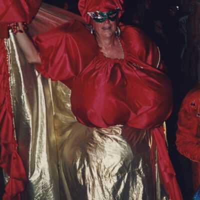 Unknown person dressed up in the parade.