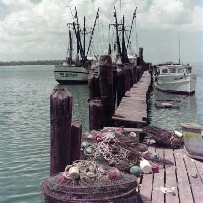 Shrimp Boats in Key West