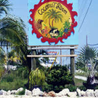 Coconut Farm Sign