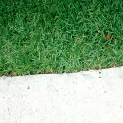 Key West Lighthouse grounds