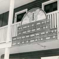 A sign that reads Yellow Butterfly