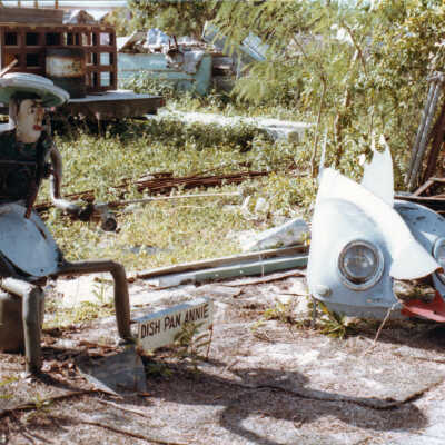 Dish Pan Annie and Her Fish