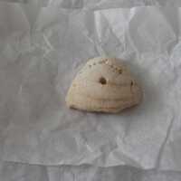 Shell Pendant