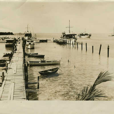 Tank Island and Wisteria Island
