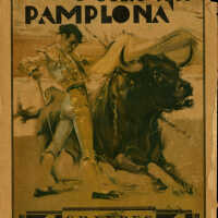 Pamplona Program