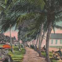 Biscayne Bay and Cocoanut Grove, Miami